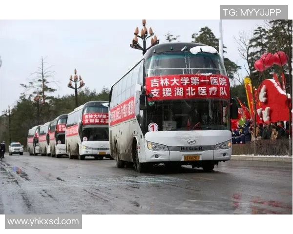 武汉排球队总决赛精彩回顾团队协作展现无遗的胜利之道